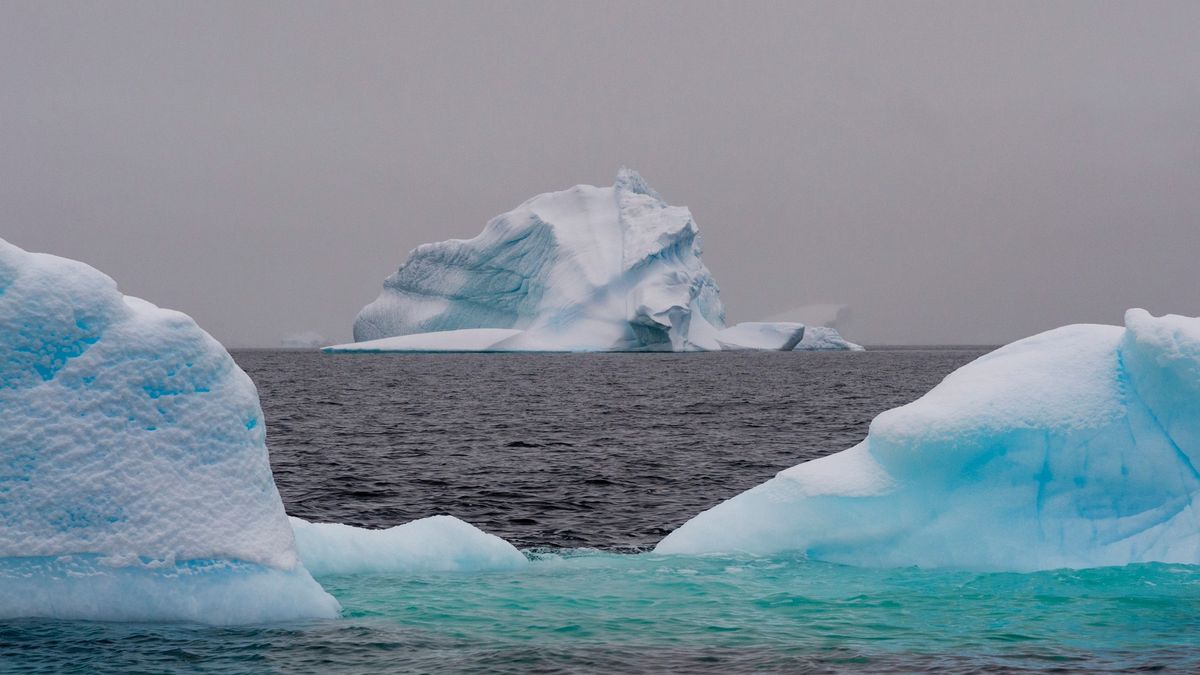 Antarktidu ohrožují „invazní stopaři“ na lodích